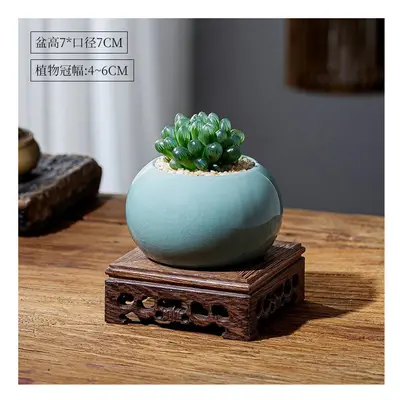 (Yulu potted plant+Ge Kiln light blue basin+(chicken wings wood base), Pot) Yulu Succulent Plant