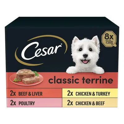 Cesar Classic Terrine in Jelly Trays Adult Premium Wet Dog Food Mixed Selection Pack of is and g