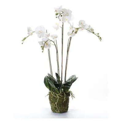 Emerald Artificial Phalaenopsis with Moss House Plant Flower White cm 20.355