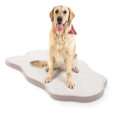 Dog Bed for Large Dogs Orthopedic Dog Bed with Memory Foam Support Waterproof