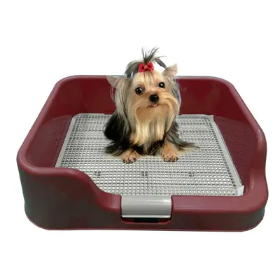 PS KOREA] Indoor Dog Potty Tray - with Protection Wall Every Side for