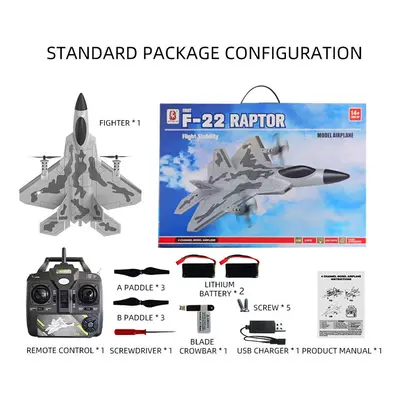 (BM16 F22 2B) SG-F22 4K RC Airplane 3D Stunt Plane Model 2.4G Remote Control Fighter