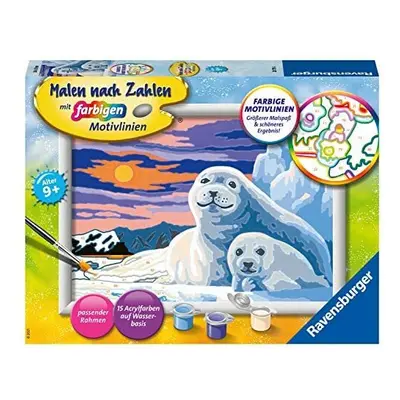 Ravensburger Niedliche Robben Painting by Numbers Cute Seals, Multicoloured