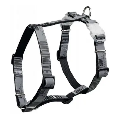 (L-XL) Trixie USB Explore Dog H-Harness