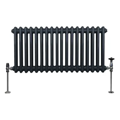 (300mm x 832mm, Grey) Traditional Column Radiator Heater