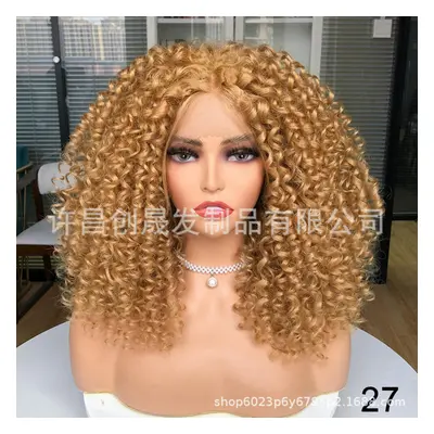 (twenty-seven) Former Lace Wigs Female Black Short Curly Kinky Curly Wigs African Wiggle Set Eur