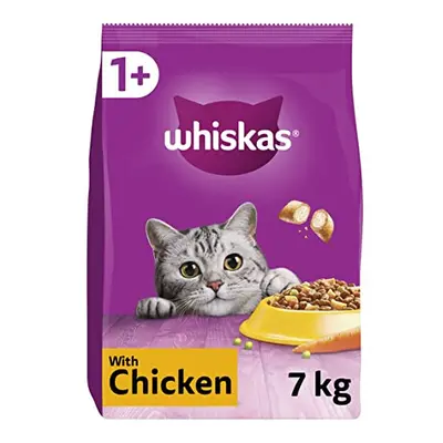 1+ Adult Chicken, Adult Dry Cat Food , kg ( Pack of 1)