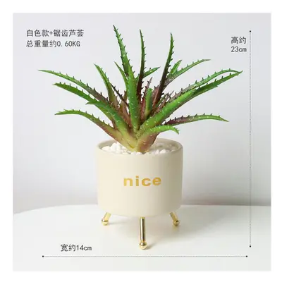 (Milky white new bracket special set) Small Bonsai Green Plant Fake Flower Fairy Palm Potted Cer