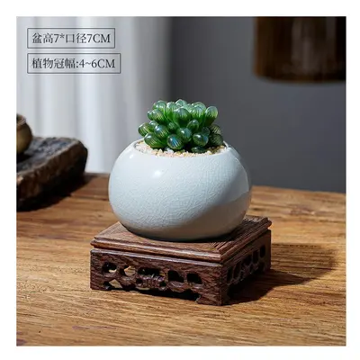 (Yulu Pot+Ge Kilin Silver Pot+(Chicken Wingwood Base), Pot) Yulu Succulent Plant Indoor Potted B