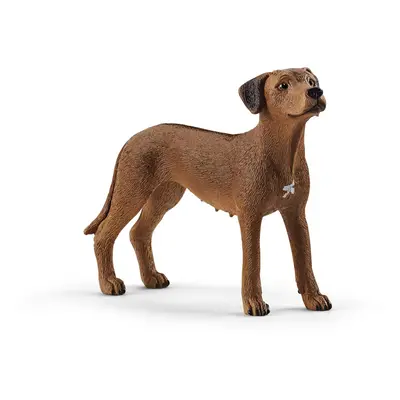 Schleich Farm World, Animal Toys for Kids, Rhodesian Ridgeback Figurine, Ages 3+