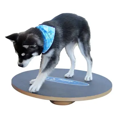 FitPAWS Wobble Board cm Black Pet Supply Dog Agility Equipment Training