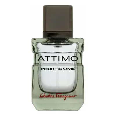 Attimo Pour Homme by Salvatore Ferragamo Eau de Toilette 40ml