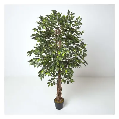 (6 Ft (180 cm), Green) Artificial Ficus Tree with Twisted Real Wood Trunk