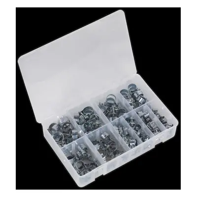 Mini Hose Clip Assortment 100pc