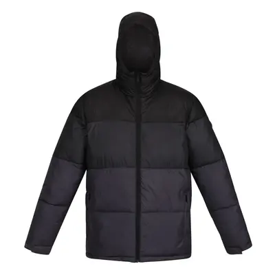 (XL, Black/Ash) Regatta Mens Carnan Padded Jacket