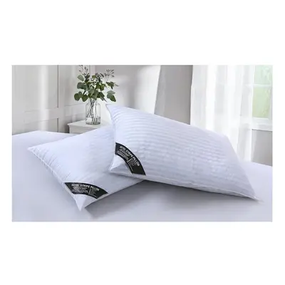 Hebden? Hotel Quality Stripe Pillows Pack of Bounce back Hollow fiber Filled Bed Pillows With Ex