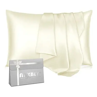 Mulberry Silk Pillowcase for Hair and Skin, Momme 100% Pure Natural 6A Silk Pillowcases with Zip