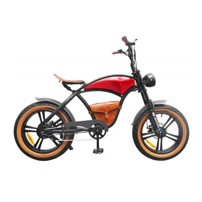 Hidoes-B10. MTB City Electric Bike 20in Fat tyre 1000wa 12.5AH Lithium Battery