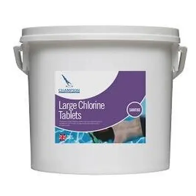 Champion Large Chlorine 200g Tablets 5kg - Kg from Janitorial Supplies