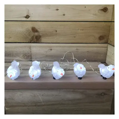 Premier Set Of 16cm Indoor/Outdoor Acrylic Birds With Clip White LEDs