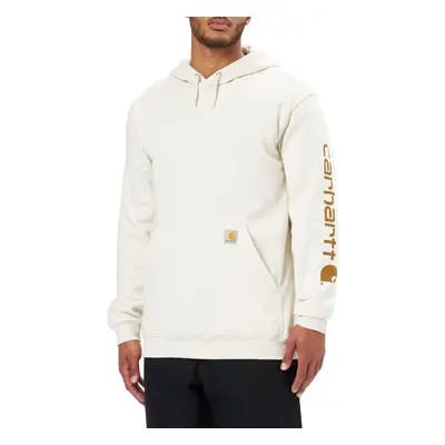 Carhartt mens Loose Fit Midweight Logo Sleeve Graphic Hooded Sweatshir