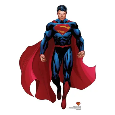 Superman Cape Style Cardboard Cutout Superhero Standup / Standee