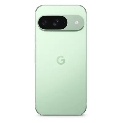 Google Pixel (256GB+12GB, Wintergreen)