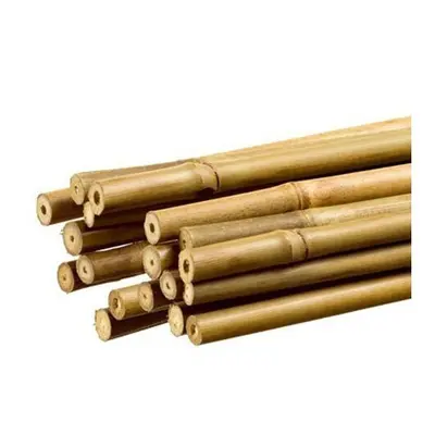 PLANT IT 10-480-062 ft Bamboo Stakes - Beige (Pack of 25)