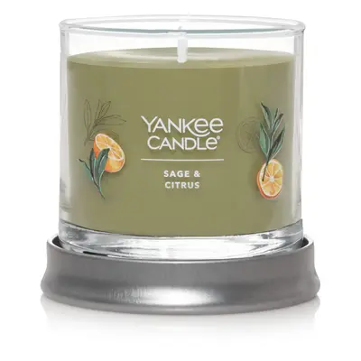 Yankee Candle Sage & Citrus Scented Signature 4.3oz Small Tumbler Single Wick Candle Over Hours 