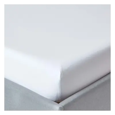 (Super-King, White) Egyptian Cotton Fitted Sheet TC