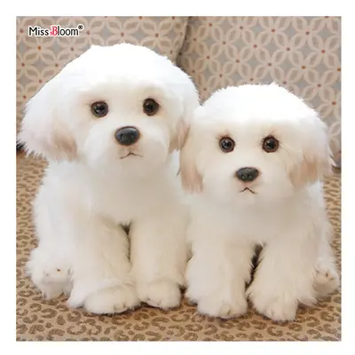 (L size (1 piece)) Maltese Stuffed Dog Dolls Plush Toy Cute Simulation Pets Fluffy Baby Birthday