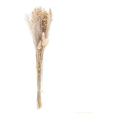 Dried Flower Bouquet CABRA cm Natural