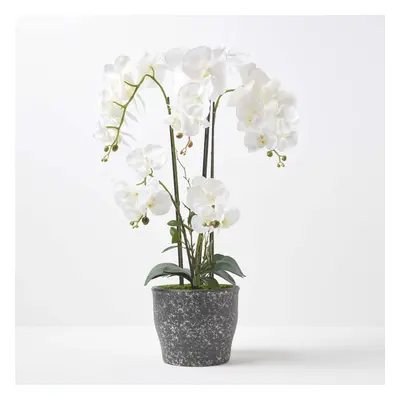 Homescapes White Orchid cm Phalaenopsis in Ceramic Pot Extra Large, Stems