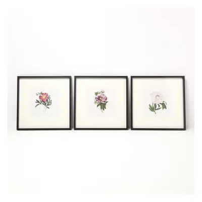 HOMESCAPES Wall Decoration Set of Frames with Picture, Peonies