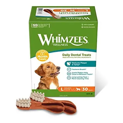 WHIMZEES By Wellness Toothbrush, Month Box, Natural and Grain-Free Dog Chews, Dog Dental Sticks 