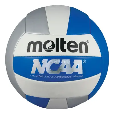 Molten Camp Volleyball (Blue/Silver/White, Official)