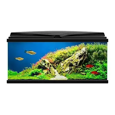 Ciano BLACK Aqua LED Tropical Glass Aquarium - Includes Filter, Lights