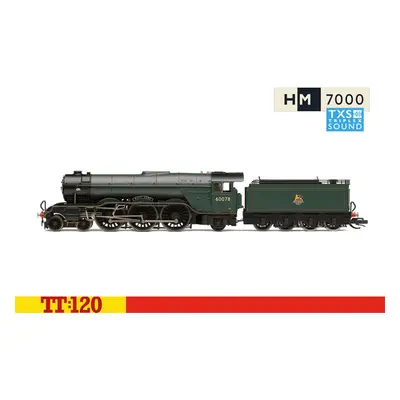 Hornby TT:120 BR Class A3 4-6-2 'Night Hawk' Digital Era (SF) TT3005TXSM