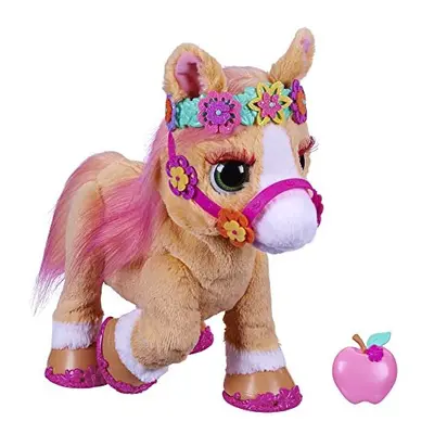 FurReal friends Cinnamon, My Stylin' Pony Toy, Electronic Pet, 80+ Sounds and Reactions; Accesso