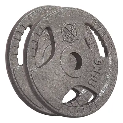 (2 x kg) RIP X Pair Olympic Weight Plates 2" Cast Iron Grip Rim 1.25-20KG Body Building