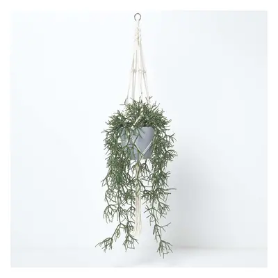 Homescapes Artificial Hanging Basket Green Rhipsalis Plant, cm