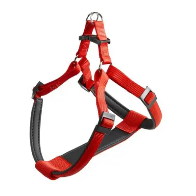 Daytona P Dog Harness, M, - cm/ - cm, Red