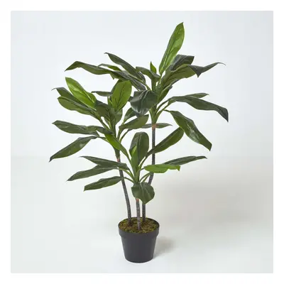 Homescapes Artificial Cordyline Plant in Pot, cm Tall