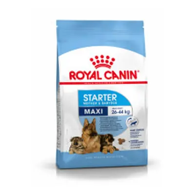 Royal Canin Maxi Starter Mother & Babydog Complete & Balanced Diet 4kg