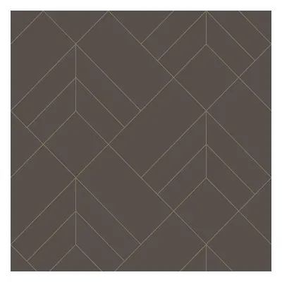 (Brown/Gold) Sander Geometric Wallpaper Fine Decor