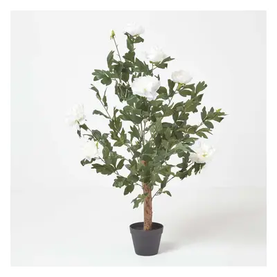 (Cream) Artificial Peony Tree in Black Pot, cm Tall