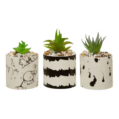 Premier Housewares Mimo Set of White / Black Succulents