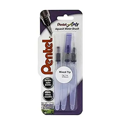 Pentel Fine/Medium Aquash Water Brush (Pack of 3), XFRH/3-FMMHBR