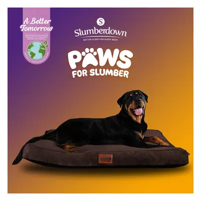 (Chocolate Brown, Extra Large) Paws for Slumber Padded Pet Bed UK Made