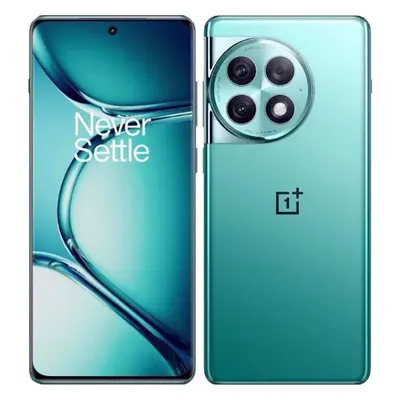 OnePlus Ace Pro 5G PJA110 (China Version, 512GB+16GB, Aurora Green)